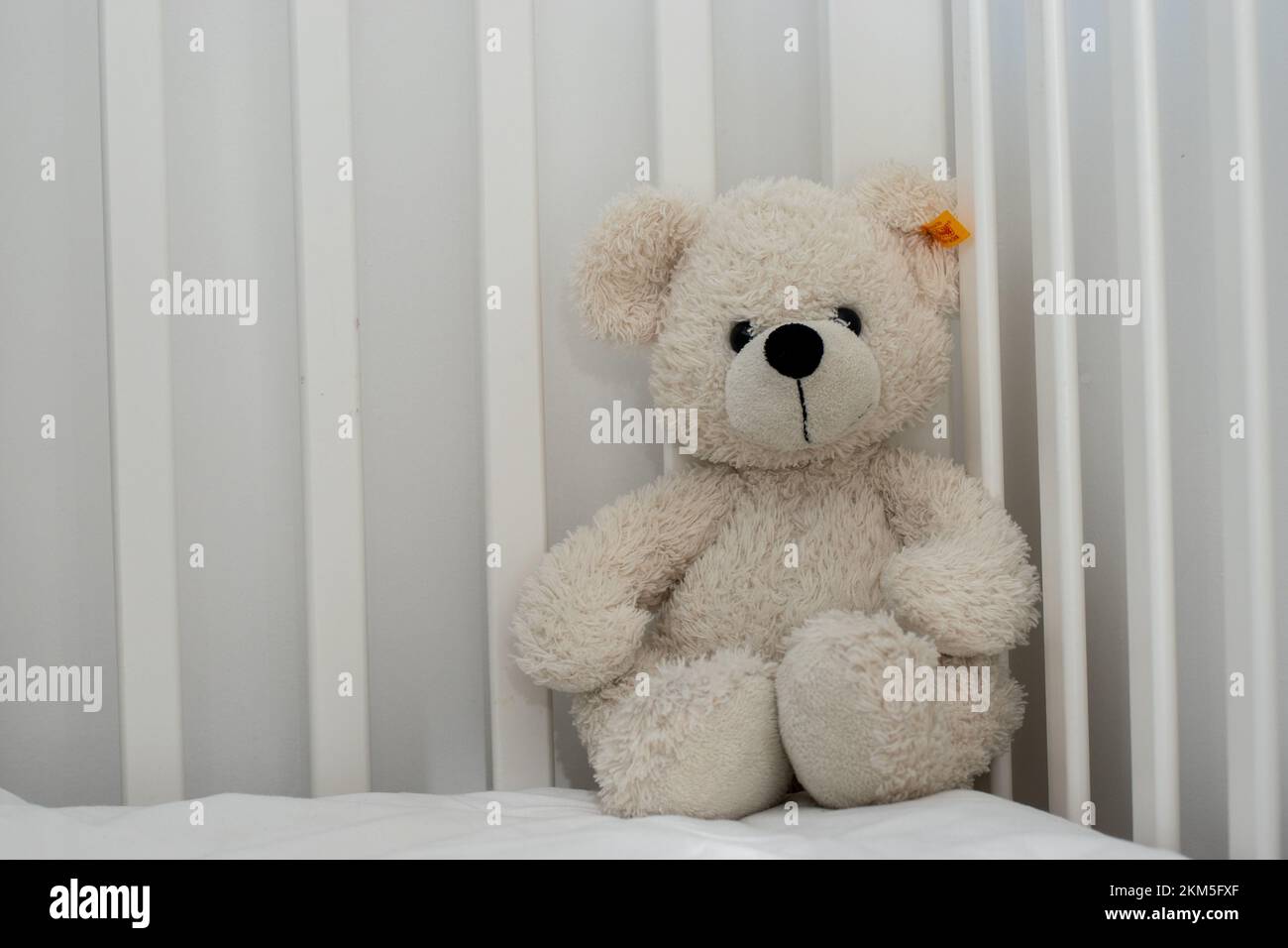 White teddy bear polar bear cuddly snuggly toy in baby cot child's bed monochrome neutral colours black and white Stock Photo