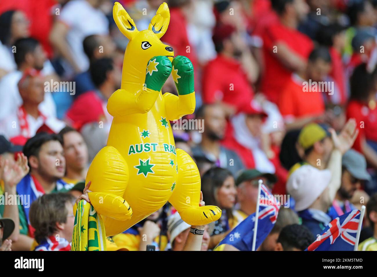 Qatar. 26th Nov, 2022. 26th November 2022; Al Janoub stadium, Doha