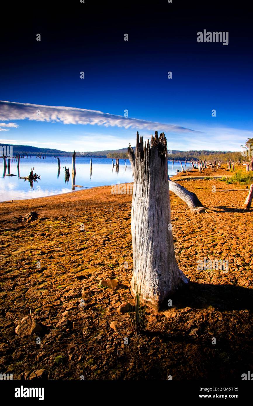 Log On The Dry And Cracked Embankment Of Lake Leake In New Norfolk, Tasmania, Australia. Lake Leake is a man made lake constructed in 1883 to furnish Stock Photo