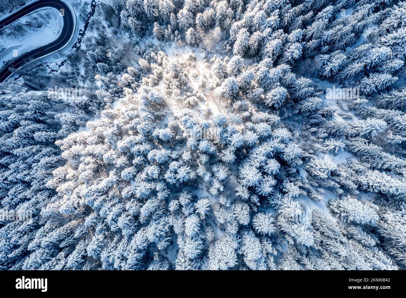 Carpathian, Romania, 2021-12-28. Aerial view of pine trees under the snow illuminated by the sun. Stock Photo