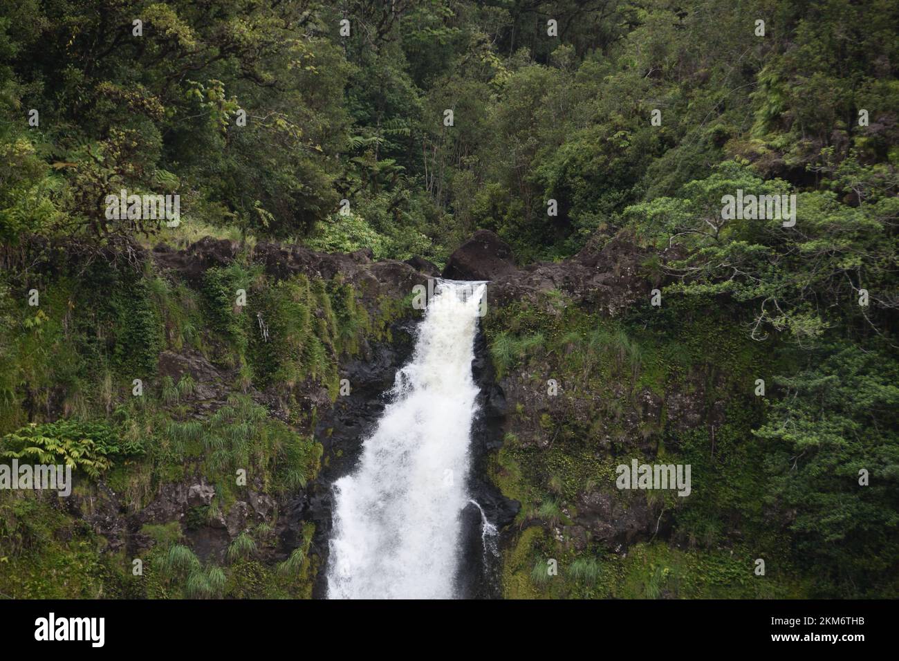 A closeup shot of a beautiful waterfall flowing in the forest Stock ...