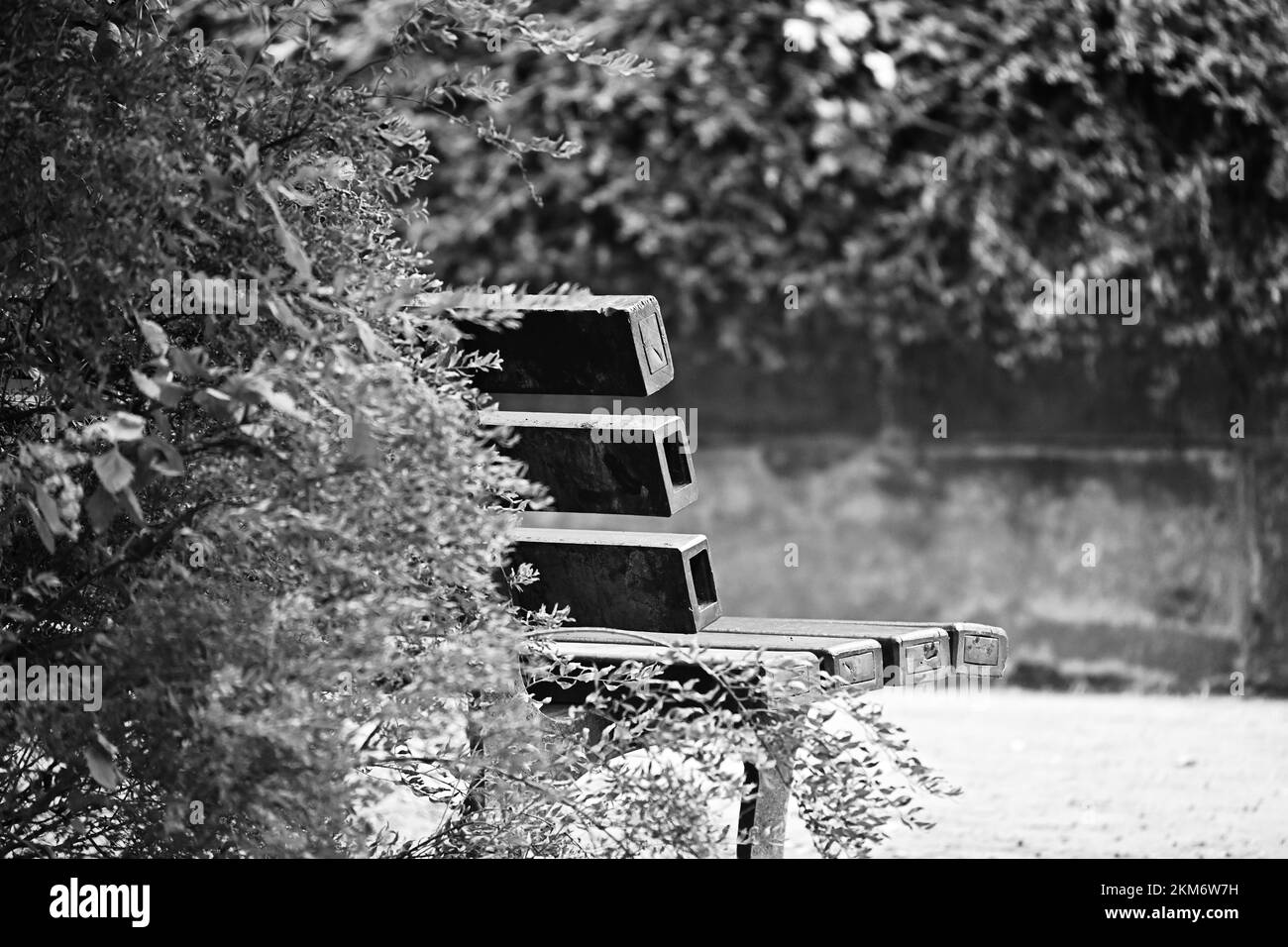A monochrome shot of a bench in a park, a back view Stock Photo