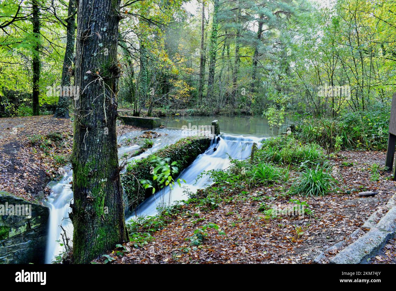 Stover Country Park. Stock Photo