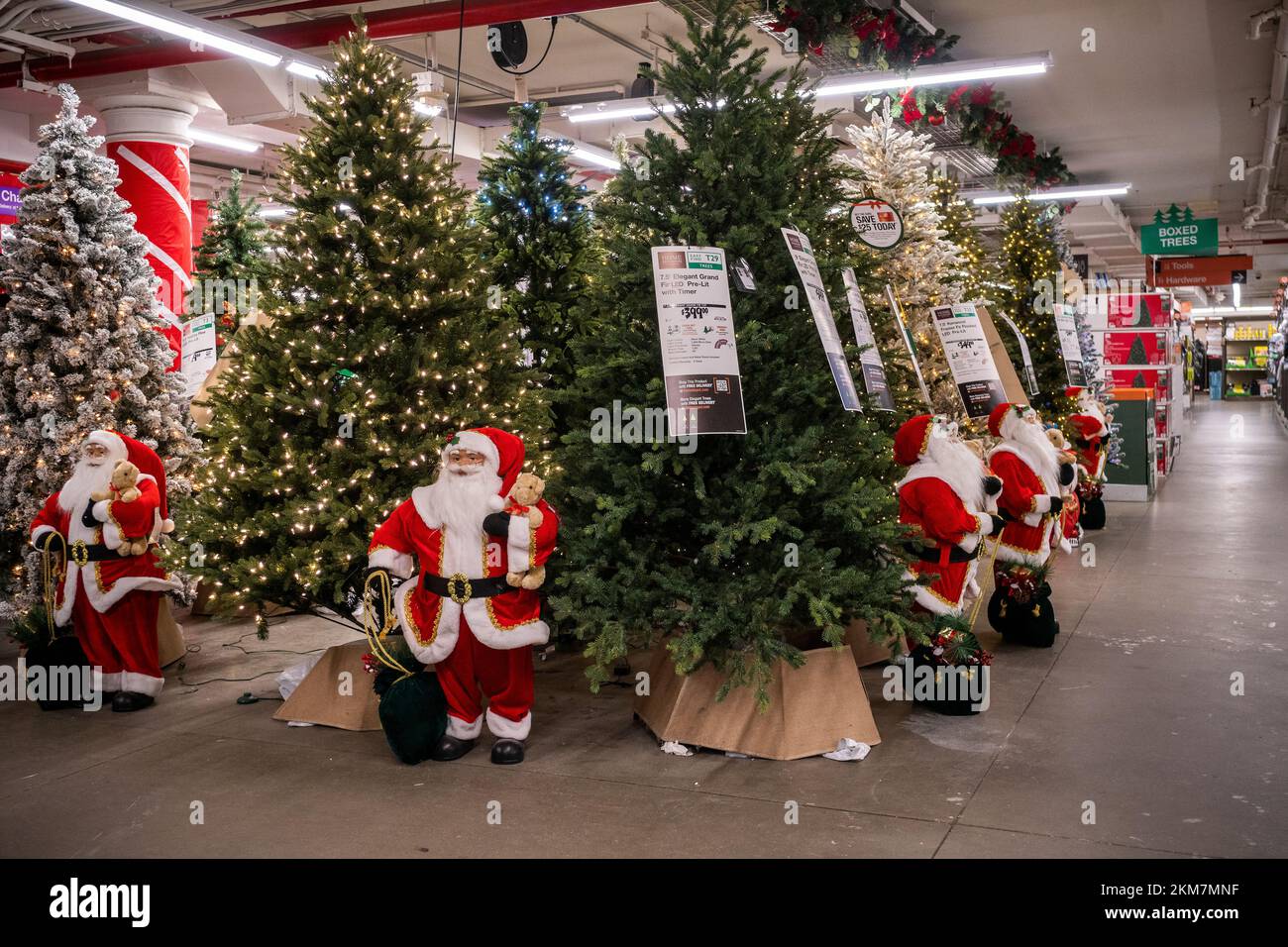 Santa Claus figurines guard the Christmas trees and decorations in a Home Depot store in Chelsea in New York on Saturday, November, 19, 2022. Only 36 more shopping days until Christmas. (© Richard B. Levine) Stock Photo