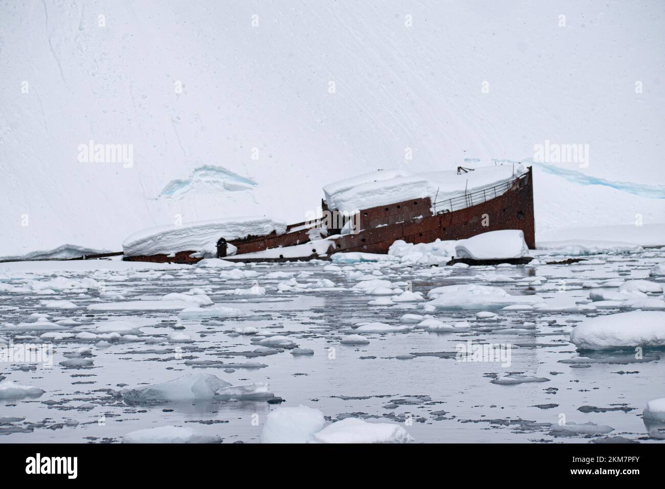 A sunken metal whaling boat, Gouvernoren, is trapped in the Ice of Antarctica Enterprise Island. Stock Photo