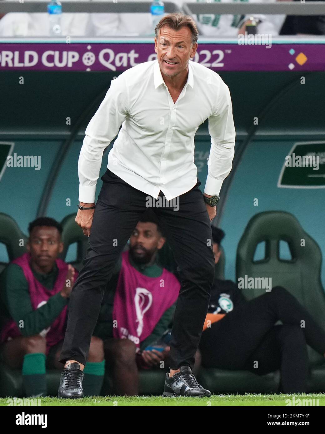 Herve renard hi-res stock photography and images - Alamy