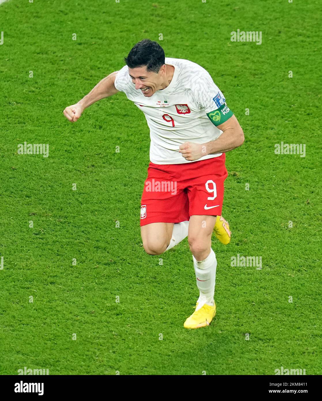 poland-s-robert-lewandowski-celebrates-scoring-their-side-s-second-goal