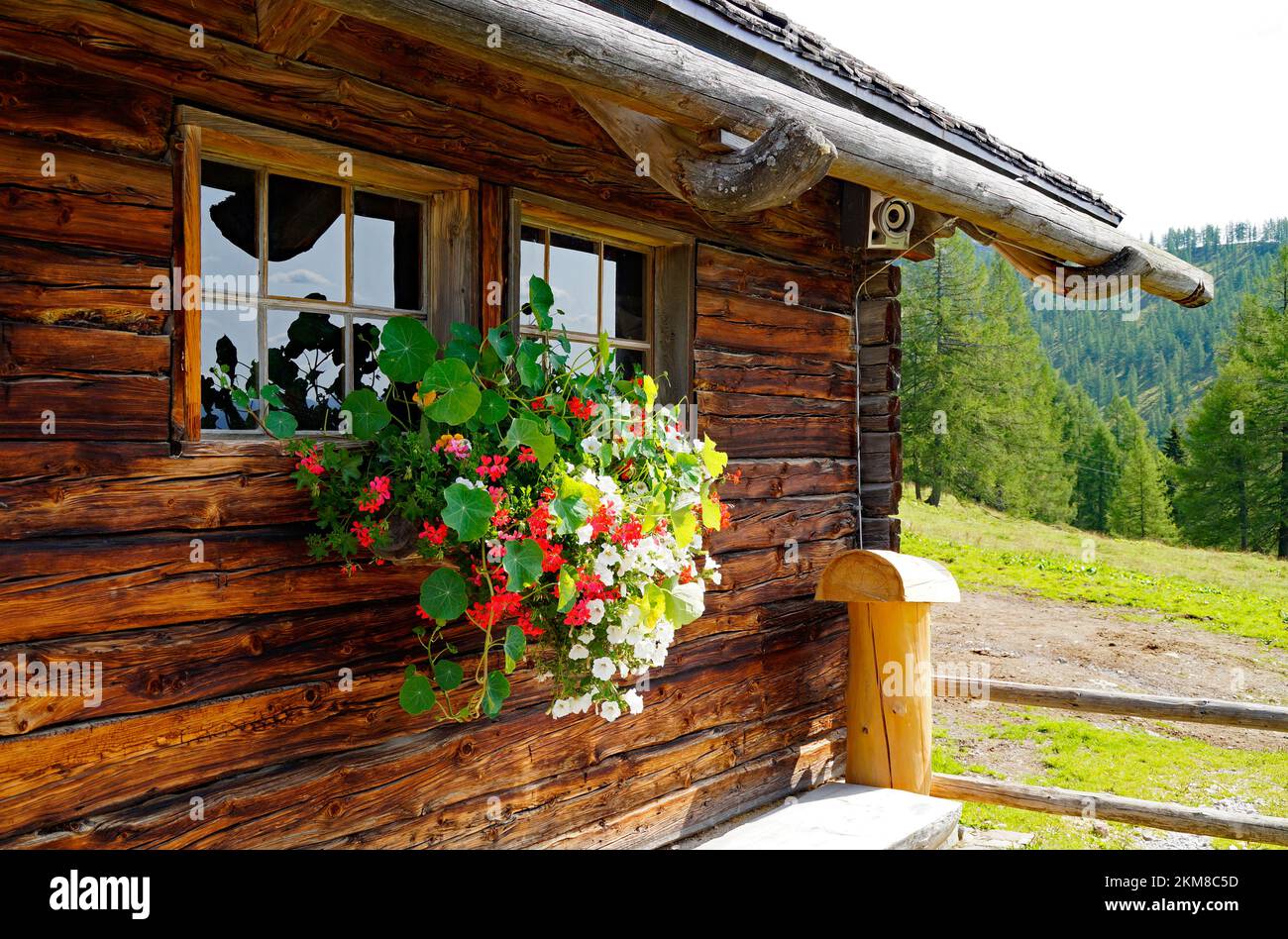 alpine cabin with geraniums in the alpine village Neustatt Alm or ...