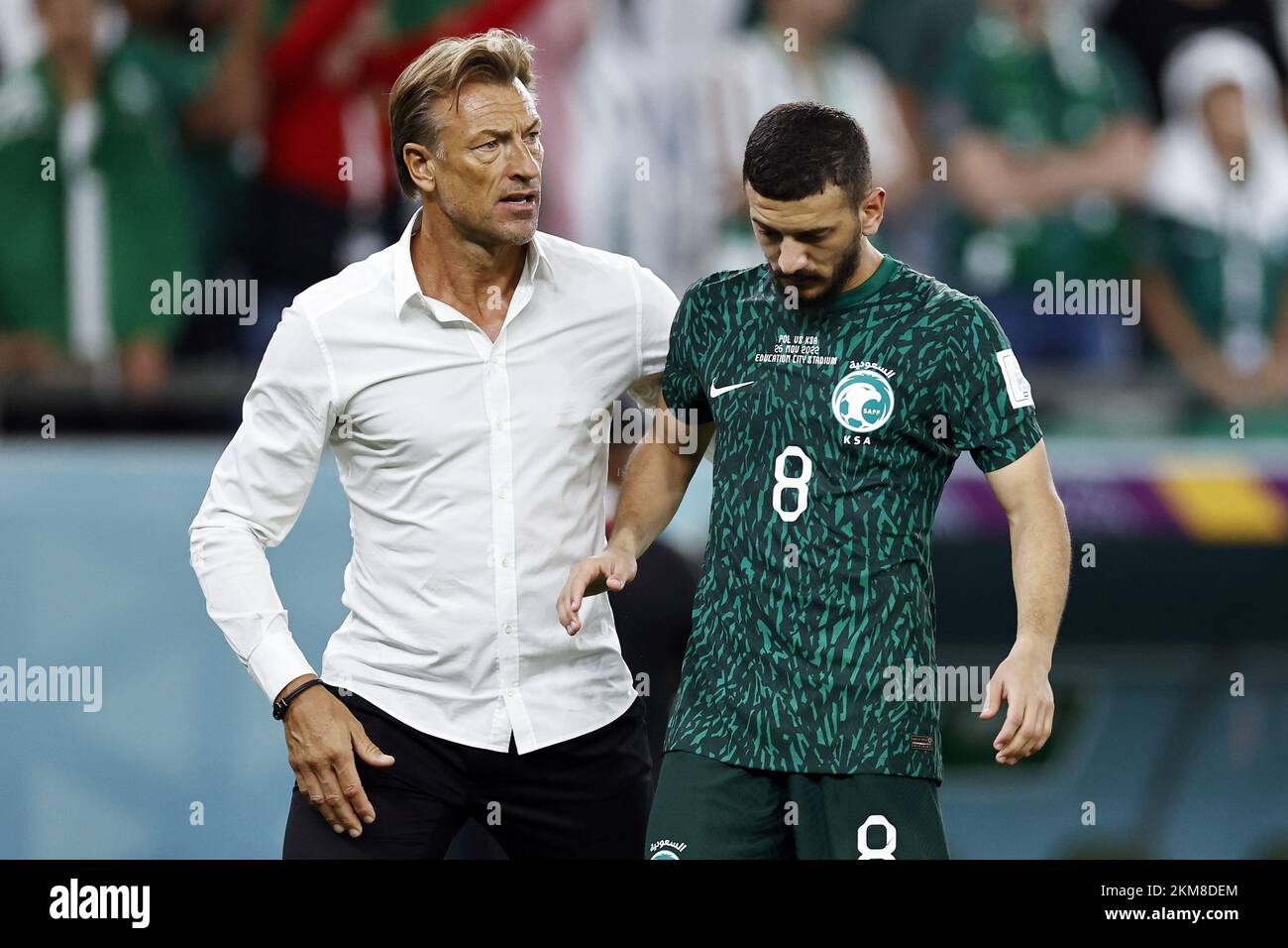 Herve renard hi-res stock photography and images - Page 4 - Alamy