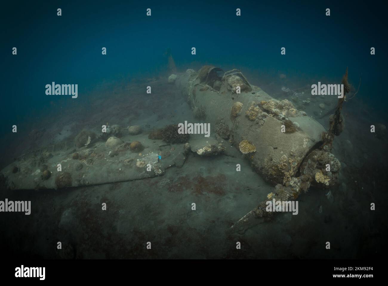 World war 2 Plane wreck in the coral Triangle Stock Photo