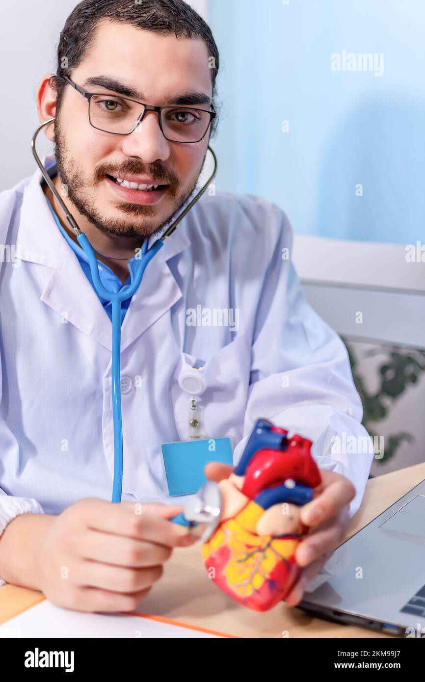 A vertical shot of a Cardiologist with a stethoscope touching a heart anatomical model Stock Photo