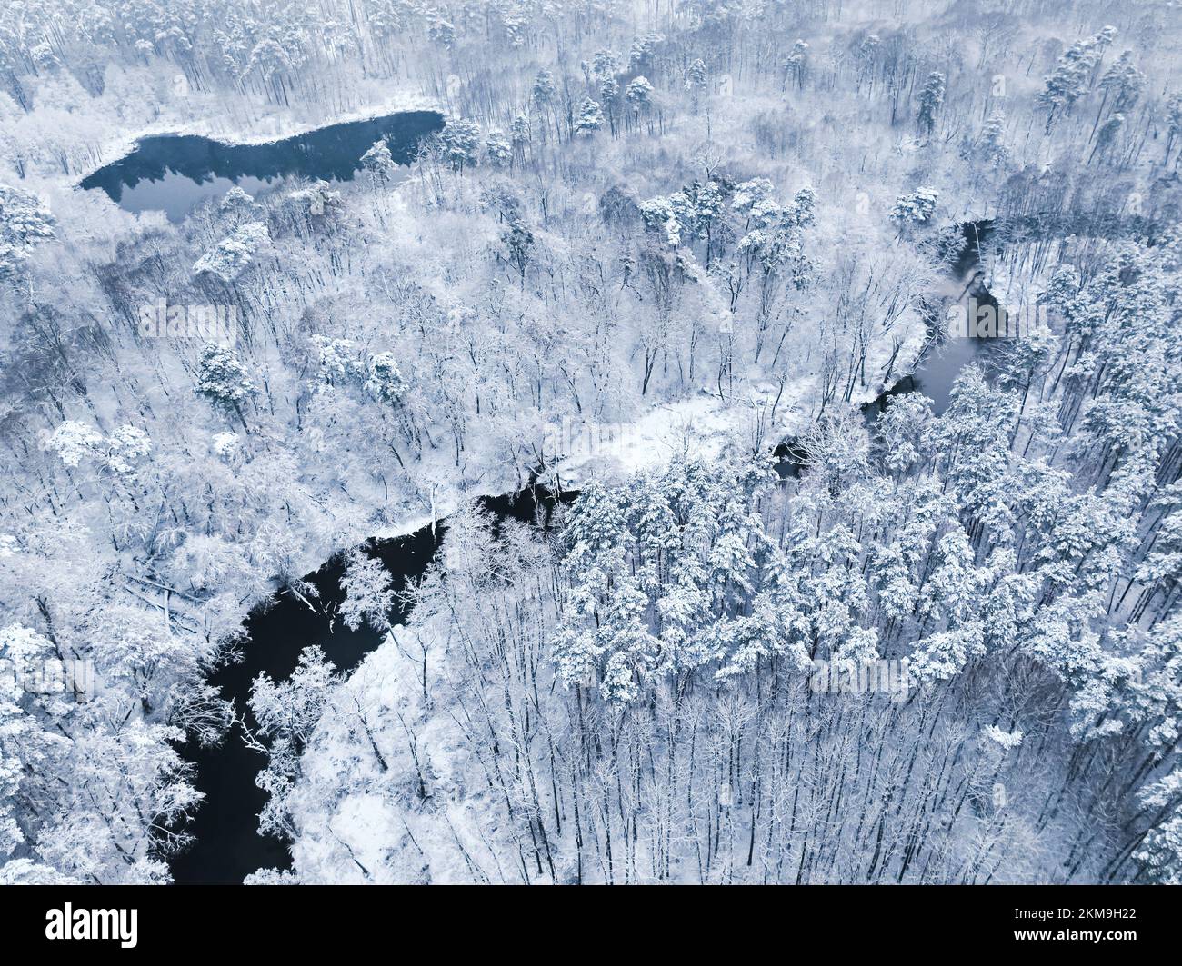 Aerial view of forest with snow and flowing river in winter. Bird eye ...