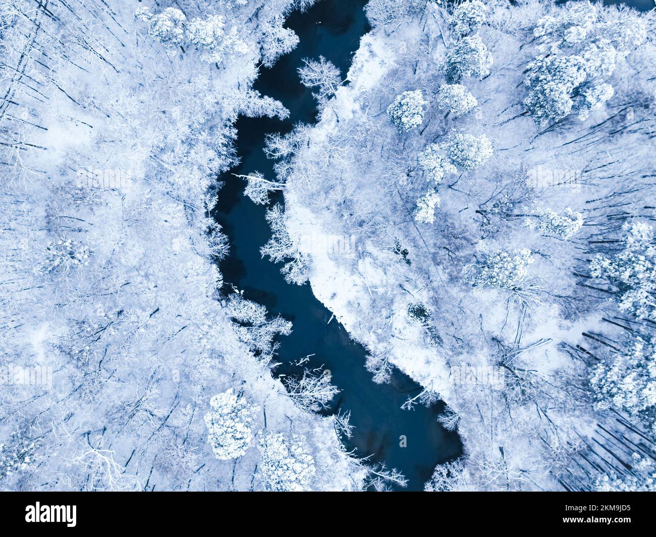 Aerial view of snowy forest and small river in winter. Bird eye view of ...
