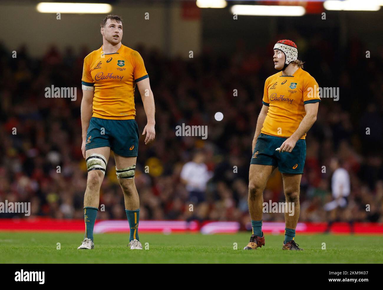 Rugby Union - International - Wales v Australia - Principality Stadium, Cardiff, Wales, Britain - November 26, 2022 Australia's Nick Frost and Fraser McReight react Action Images via Reuters/Andrew Couldridge Stock Photo