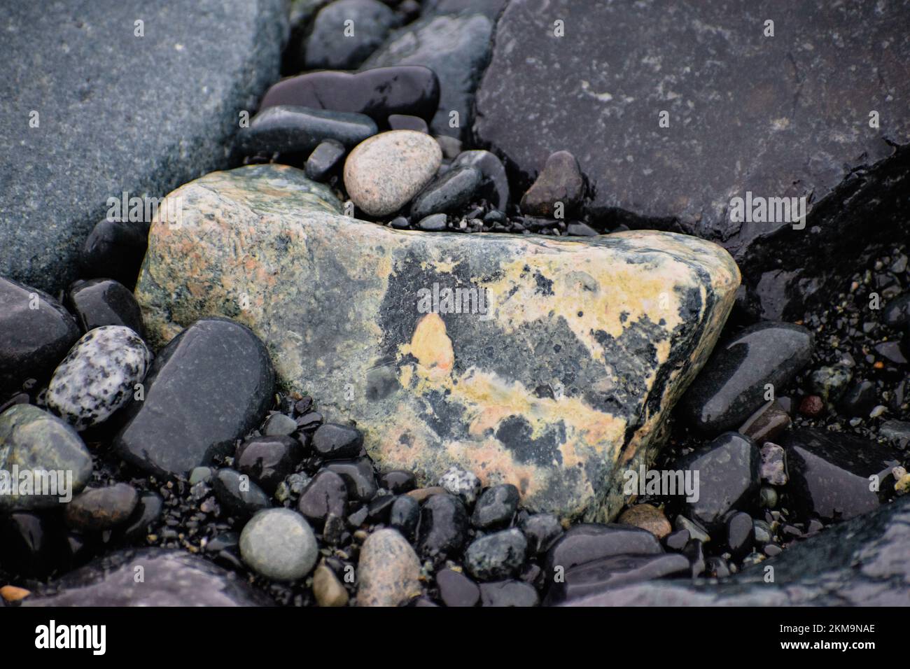 A close-up of a brightly colored rock among dark-colored rocks on an Antarctica beach. Stock Photo