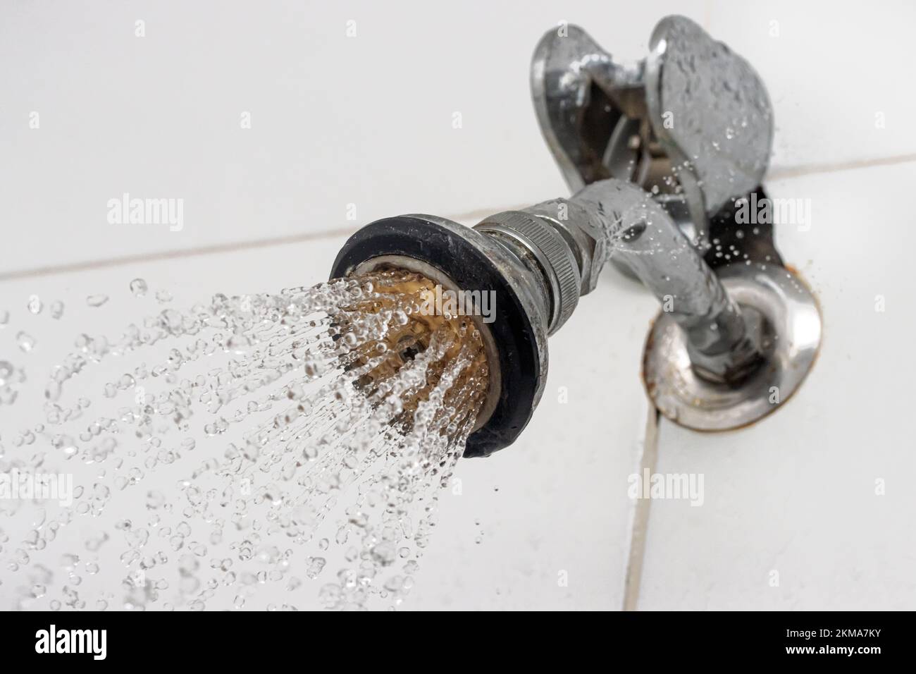 Water Flows From The Shower Head Attached To The Tiles In The Bathroom