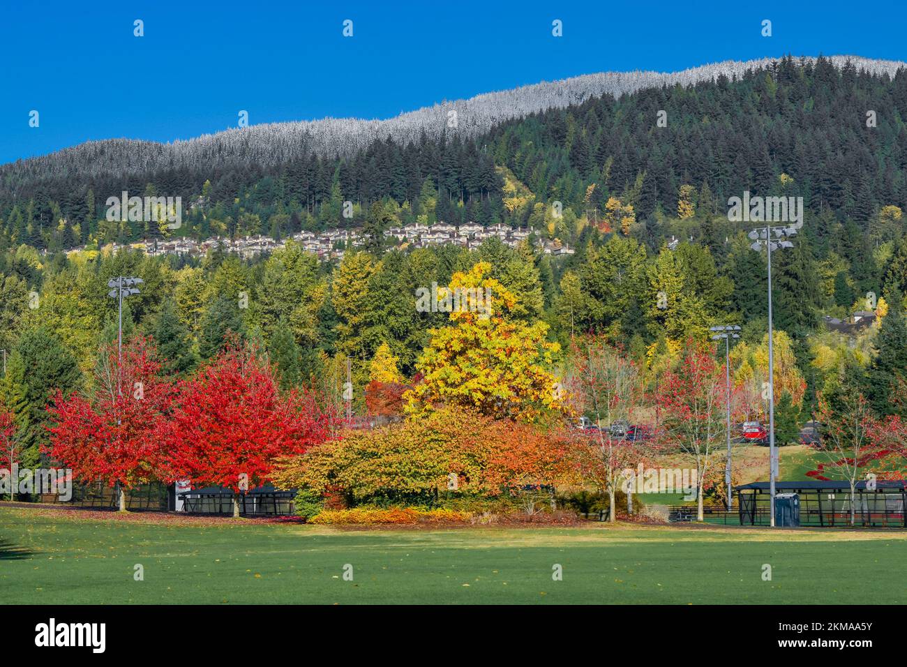 Autumn colour, Town Centre Park, Coquitlam, British Columbia, Canada. Stock Photo