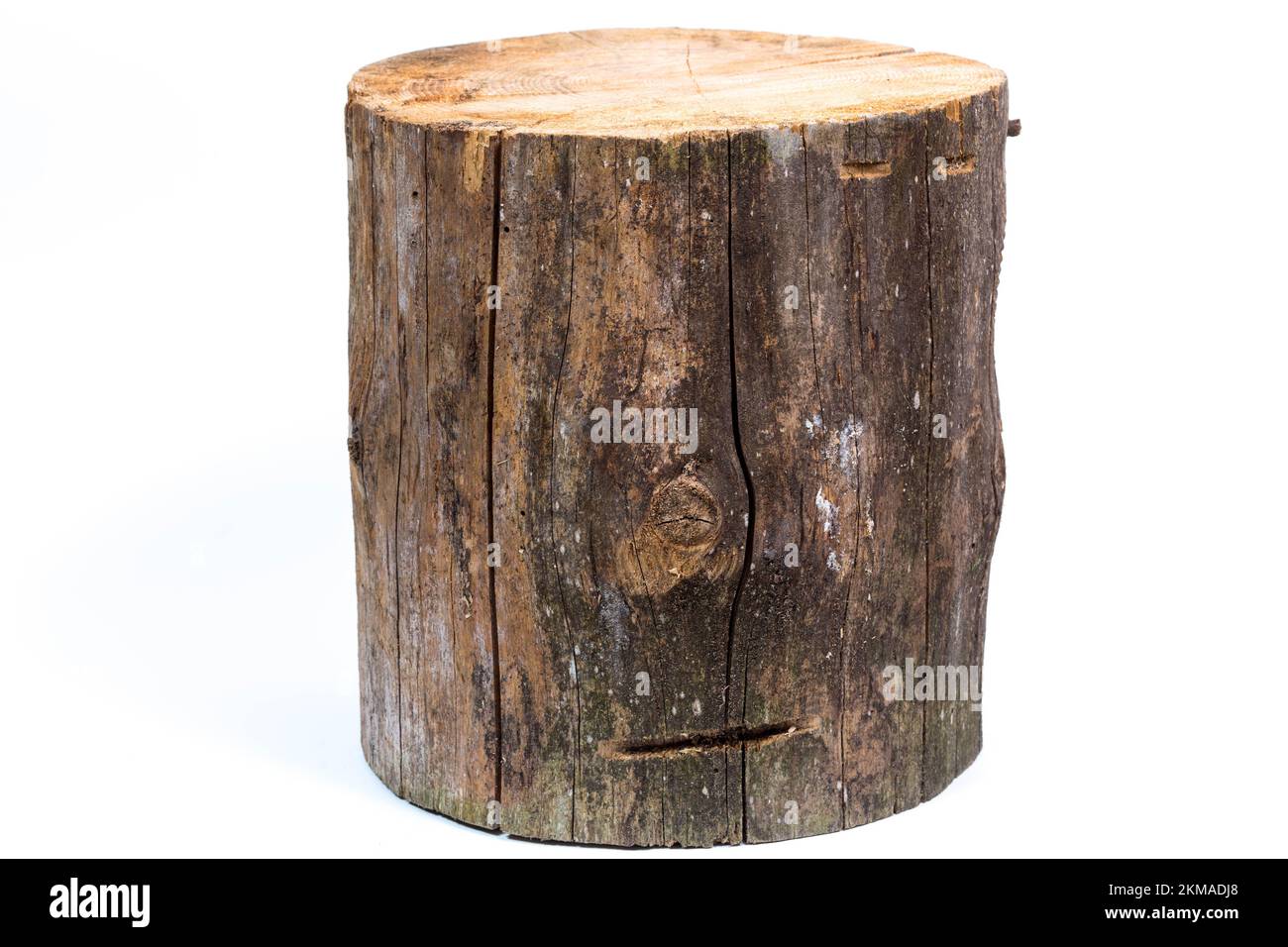 Деревянное ведро 3d. Стул пенек деревянный. Колода деревянная. Колода деревянная фото. Дубовая колода.