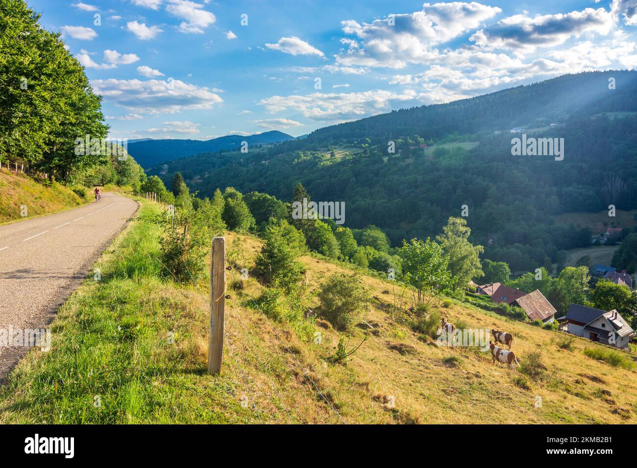 Road at col du wettstein hires stock photography and images Alamy