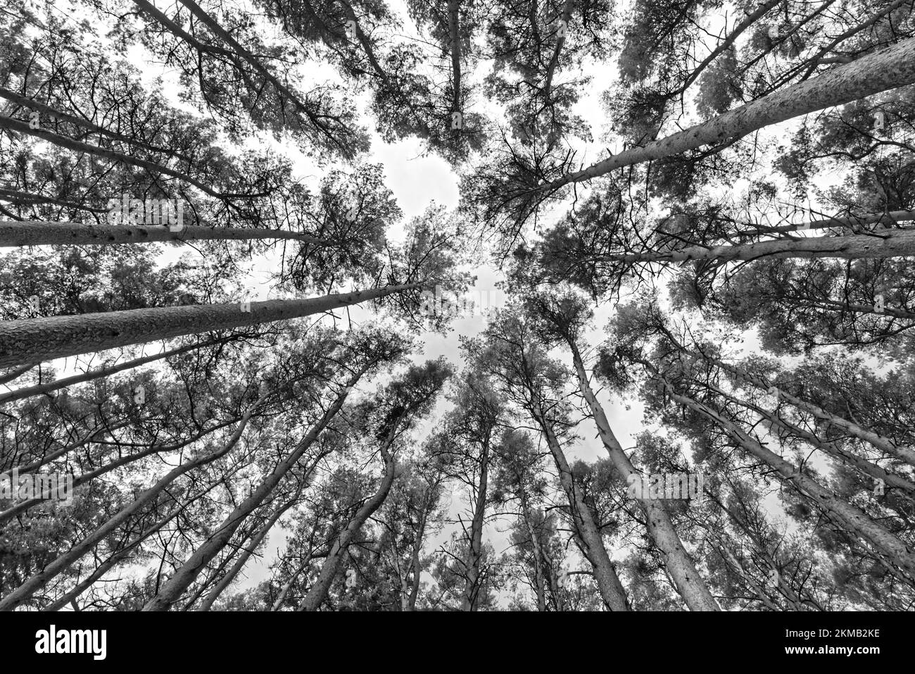 Dont look at lens hi-res stock photography and images - Alamy