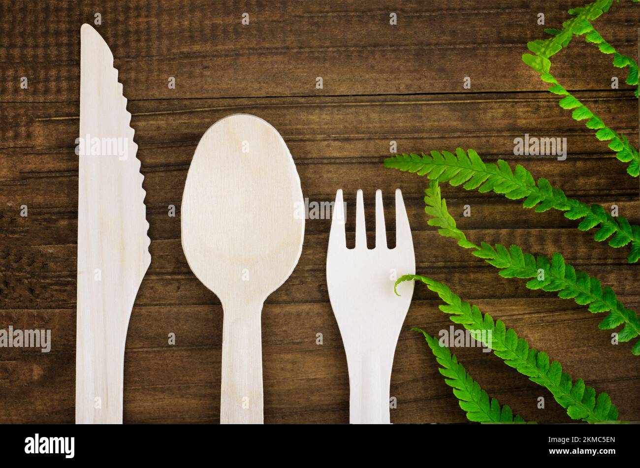 eco friendly disposable kitchen utensils on a wooden background, near a