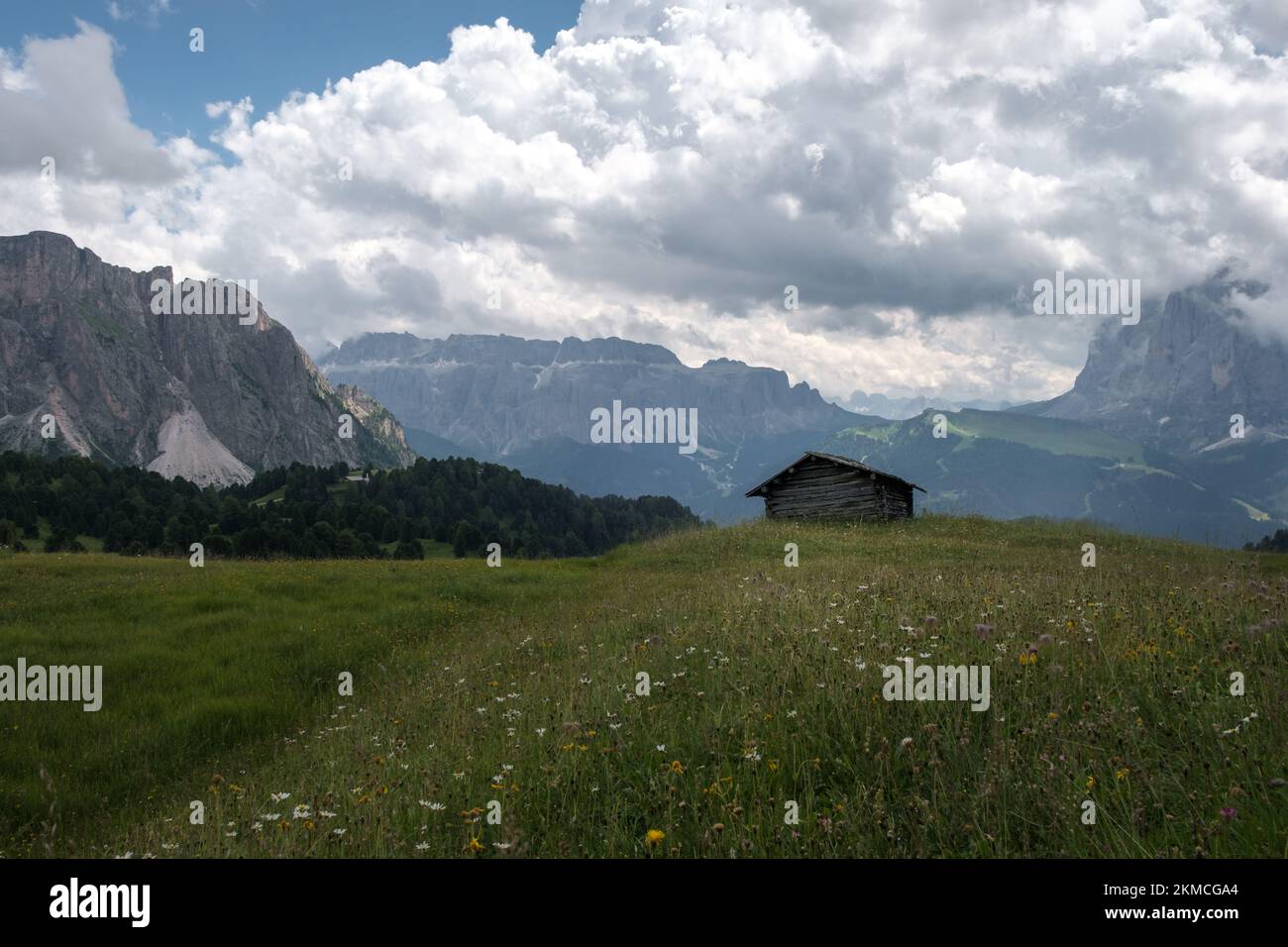 View of the Sella massif with a little cabin and mountain meadow in the foreground in south tyrol. Stock Photo