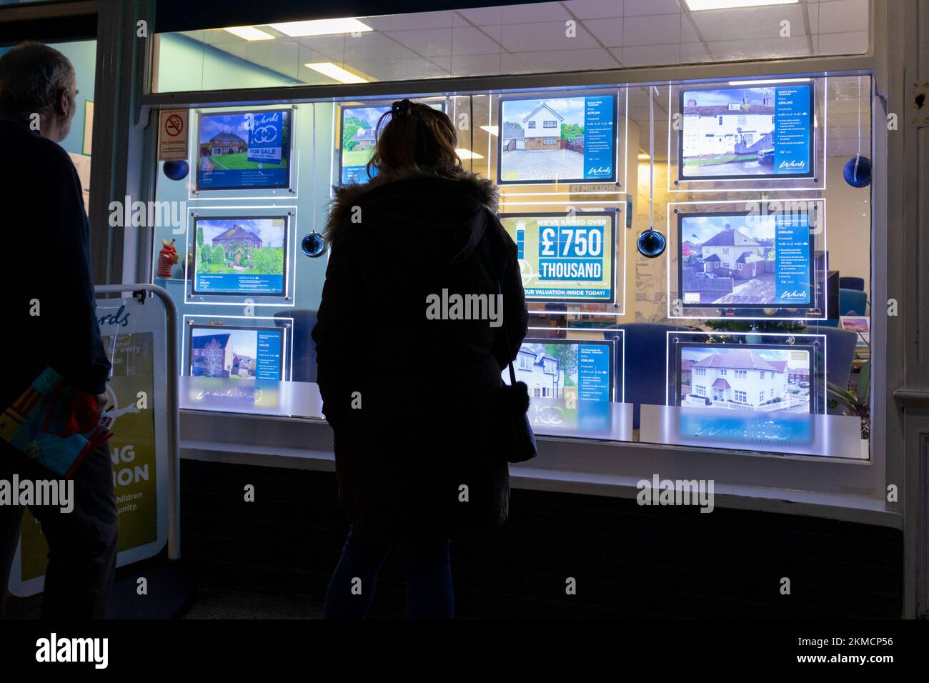 Estate agent window at night, to let signs, for sale signs, people looking at property signs, tenterden, kent, uk Stock Photo