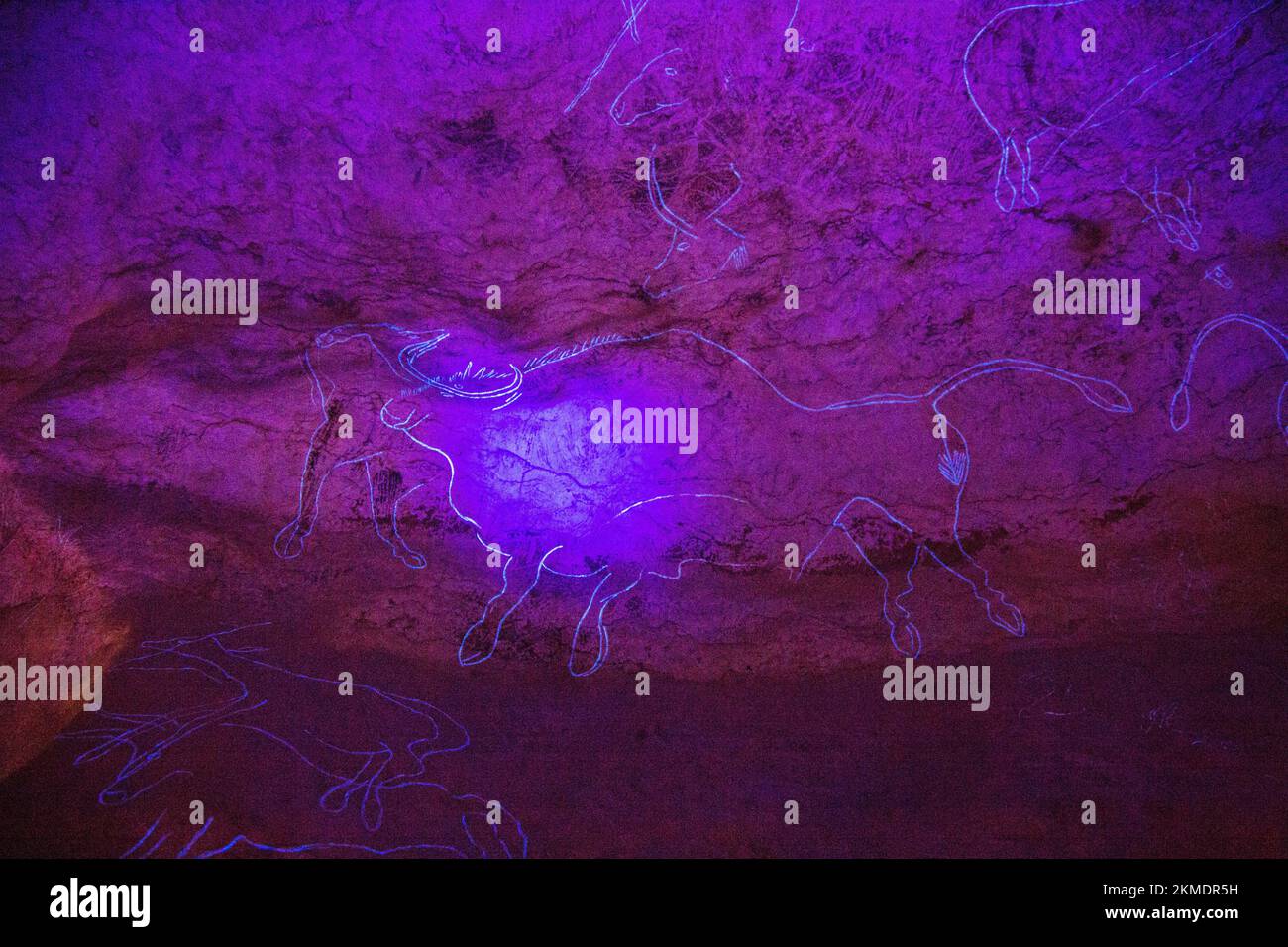 FRANCE, DORDOGNE, PERIGORD NOIR, Explanation of cave drawings. Lascaux