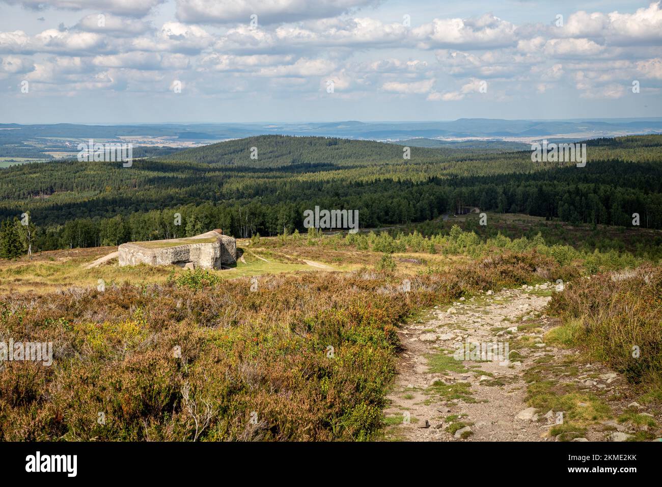 An aerial view of forest surrounded by dense trees Stock Photo - Alamy