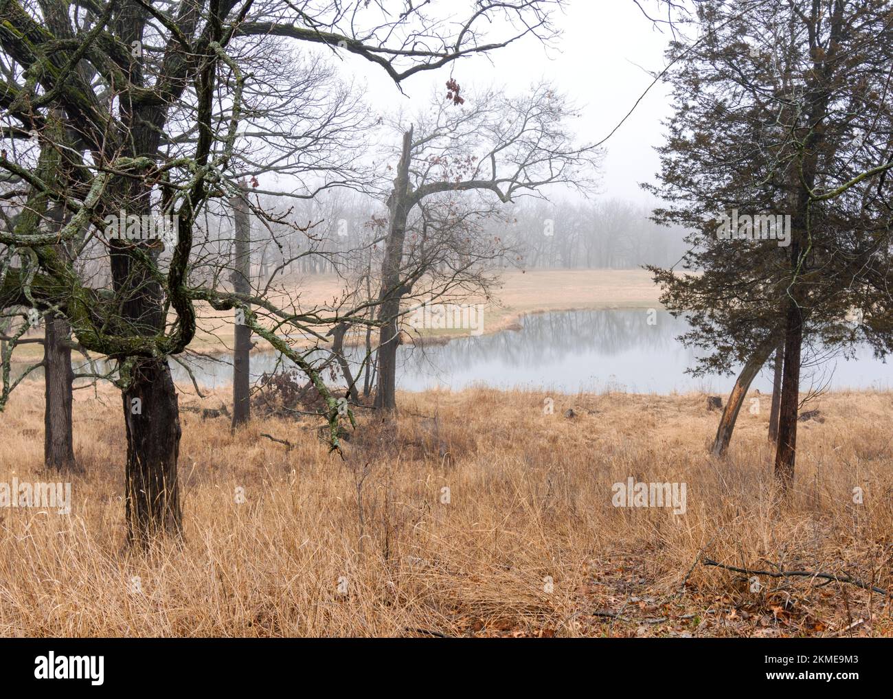 Looking out over a pond on an early foggy March morning. Stock Photo