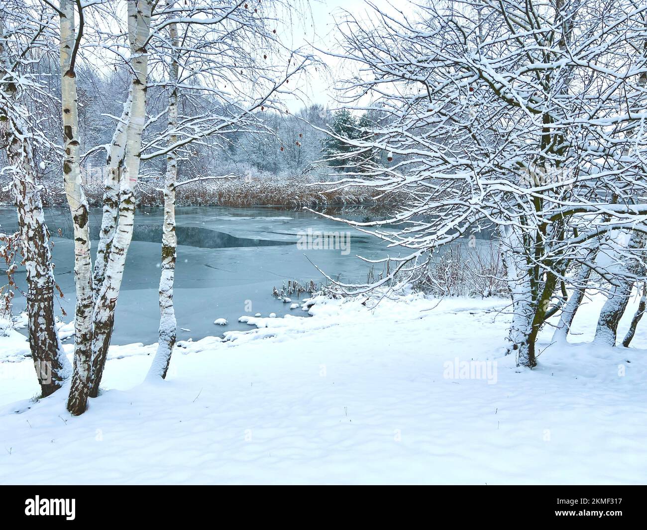Winter landscape with the river in frosty day Stock Photo - Alamy