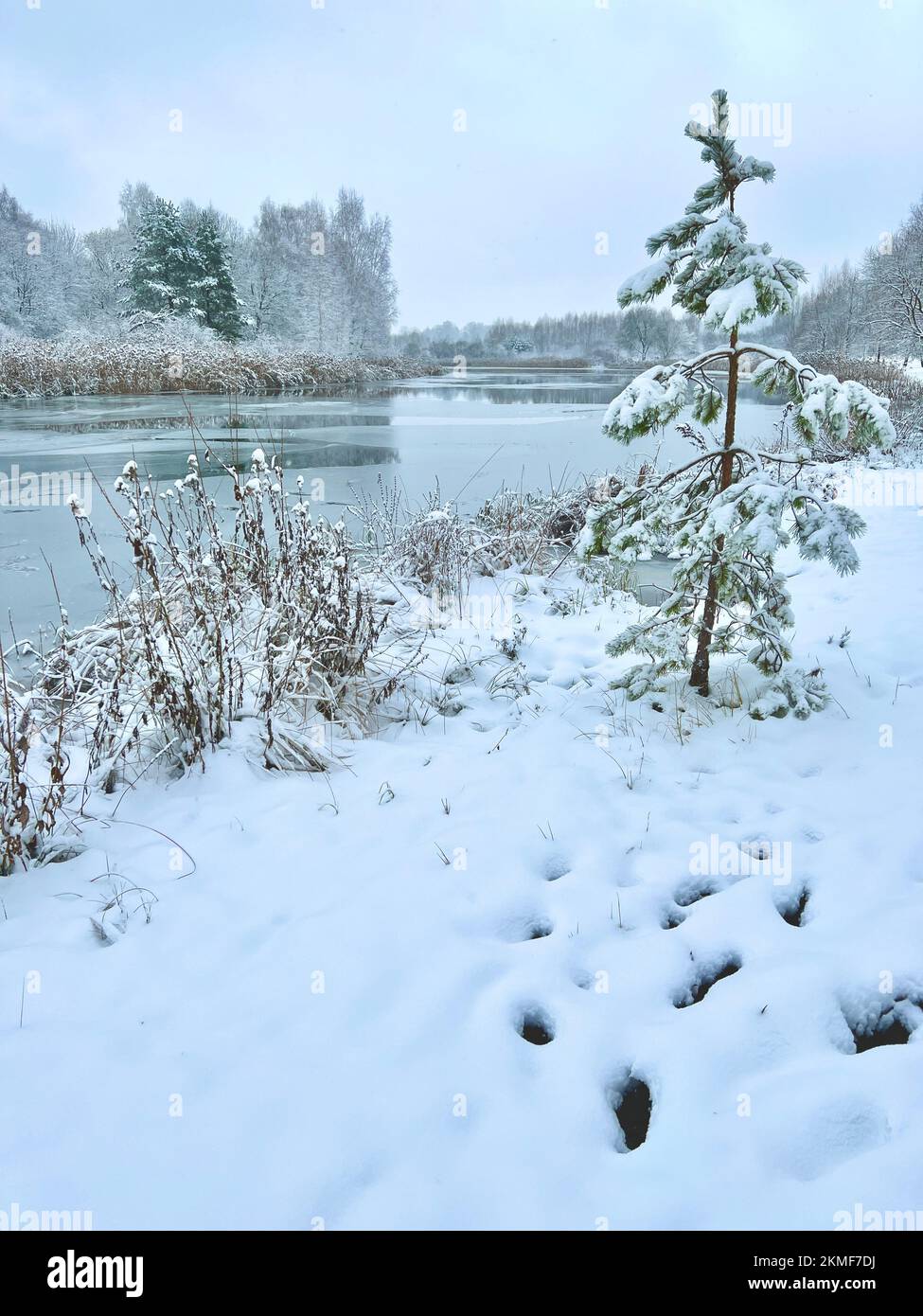 Winter landscape with the river in frosty day Stock Photo - Alamy