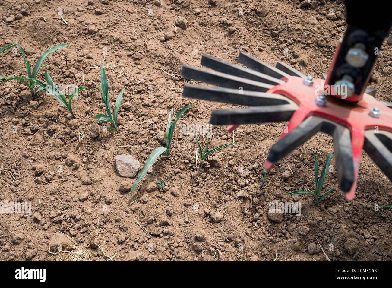 Bayreuth, Germany. 21st June, 2022. A rotary hoe on a Stetekee