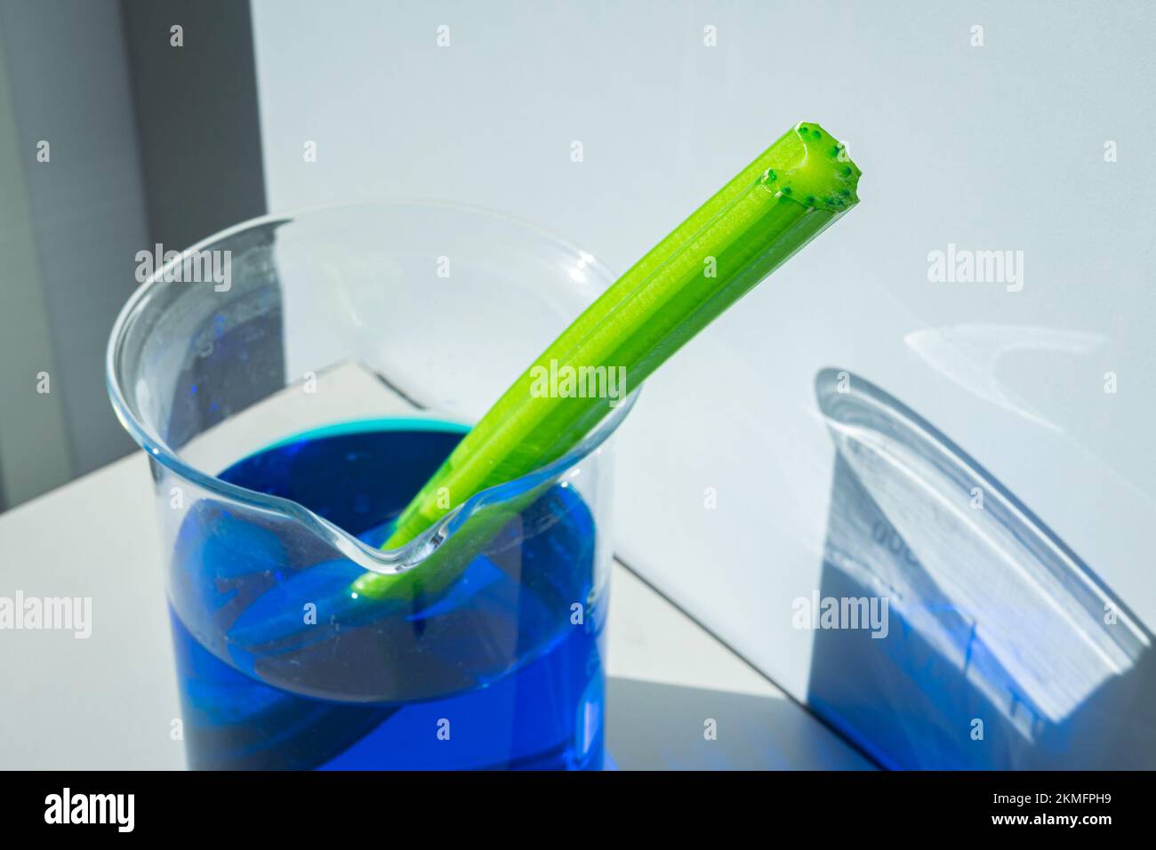 Celery color action hires stock photography and images Alamy