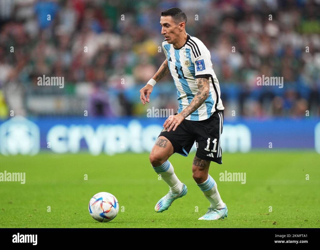 Copa del mundo fifa argentina hi-res stock photography and images - Page 6  - Alamy