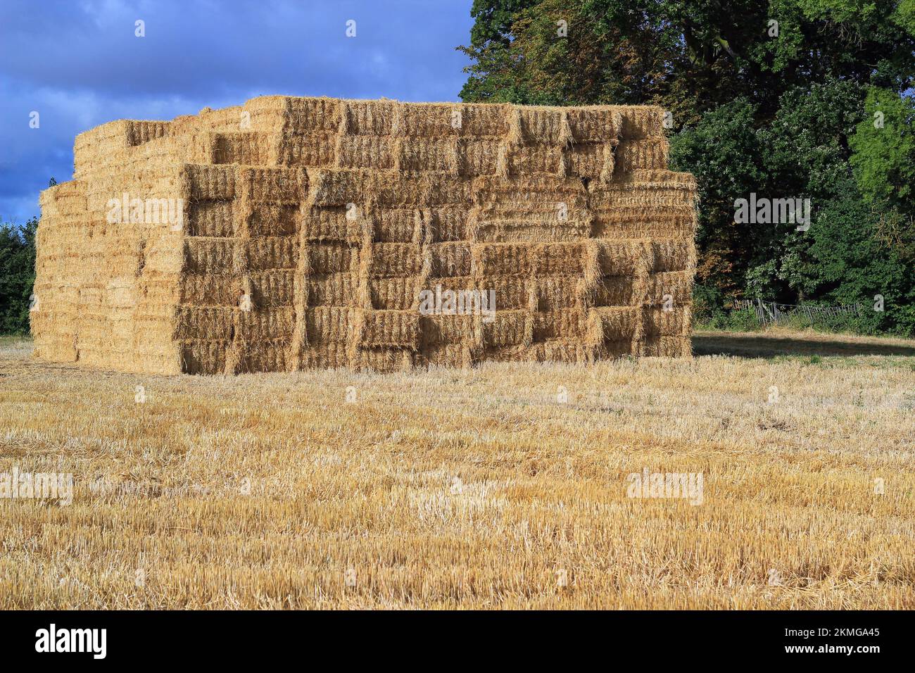 Large straw or haystack consisting of rectangular bales. Piled high to store. Stock Photo