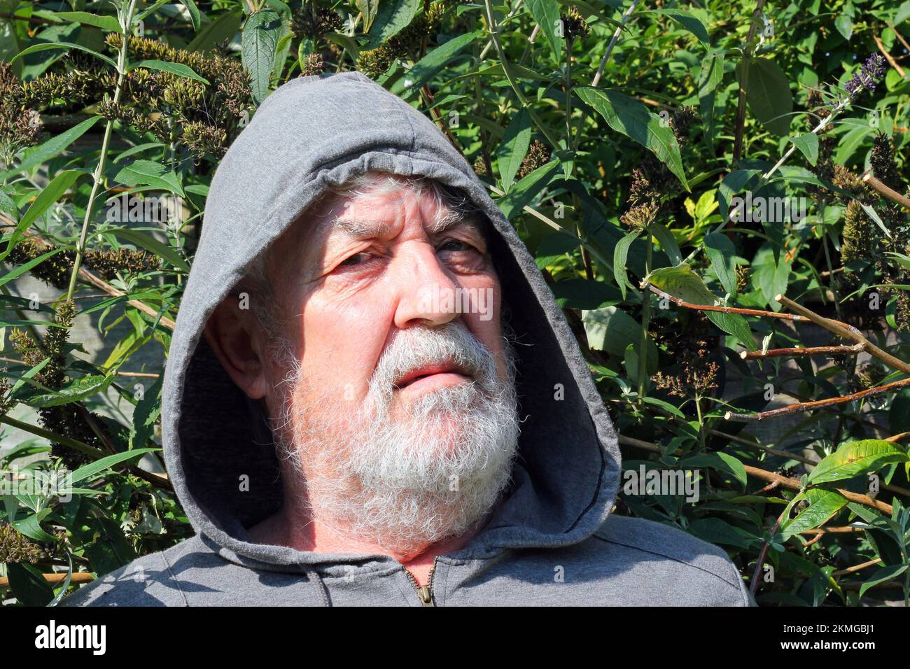 Old or senior man wearing a hood or hoodie. Looking angry or puzzled. Stock Photo