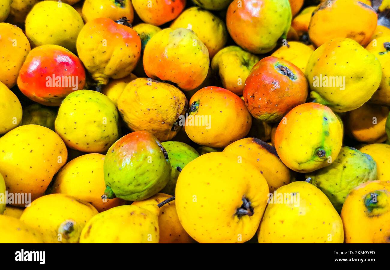 Many small tejocote fruits texture pattern in Zicatela Puerto Escondido