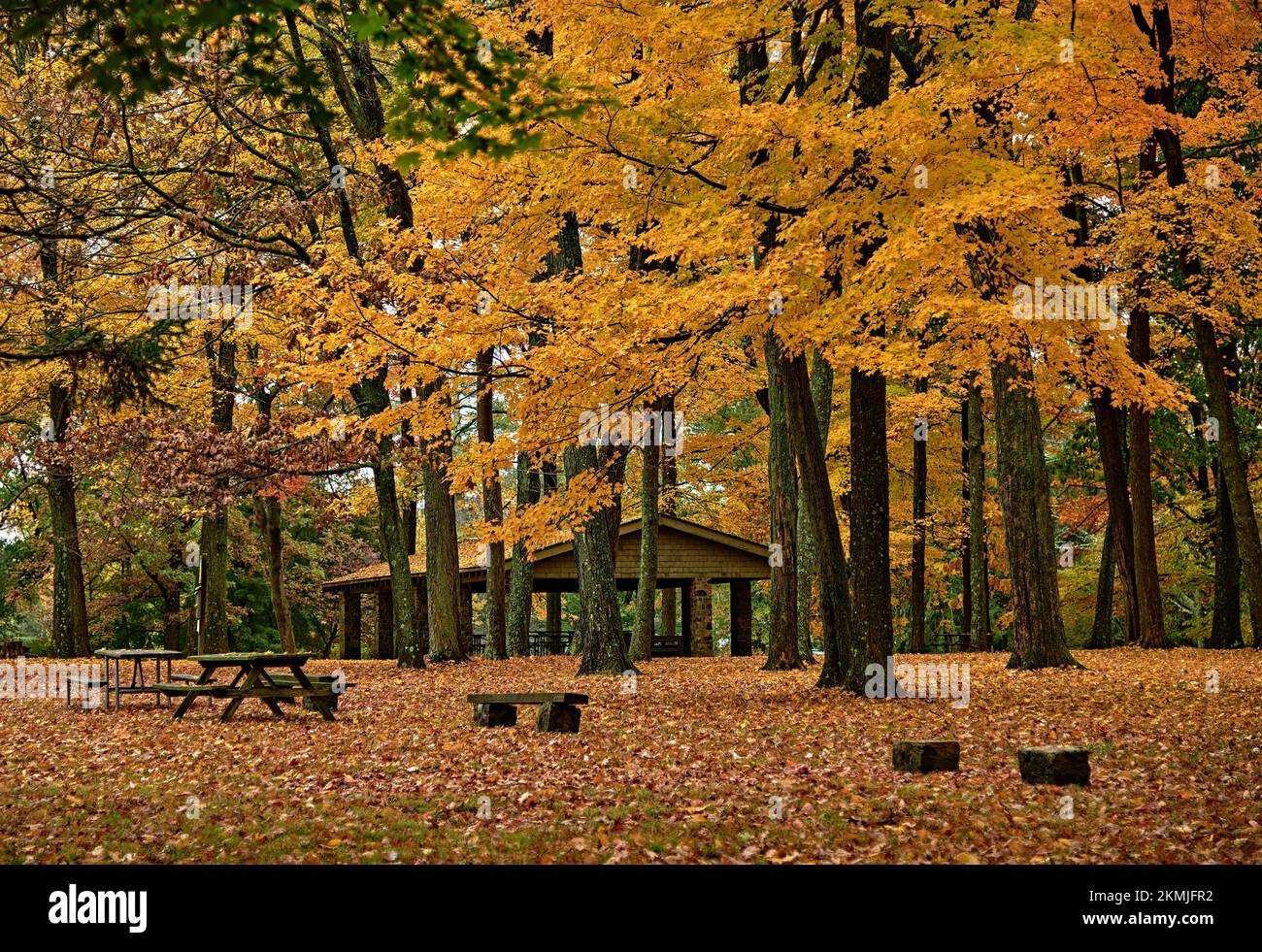 A rest or picnic area in Titusville,NJ,USA, at Washington Crossing State Park,with beautiful fall trees. At the site of George Washington's crossing. Stock Photo