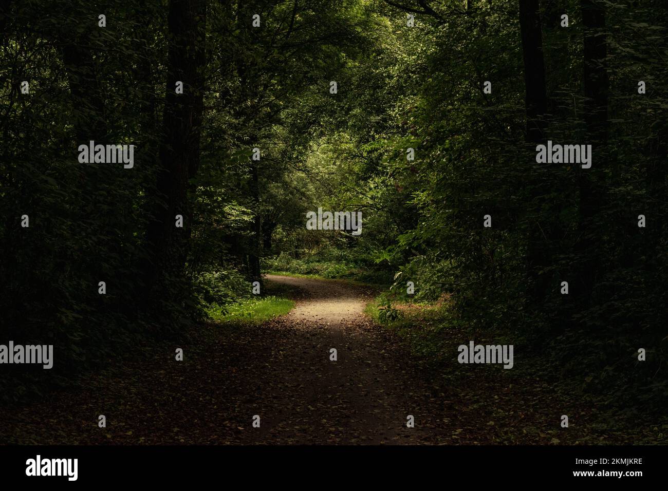 Pathway way through green hi-res stock photography and images - Alamy