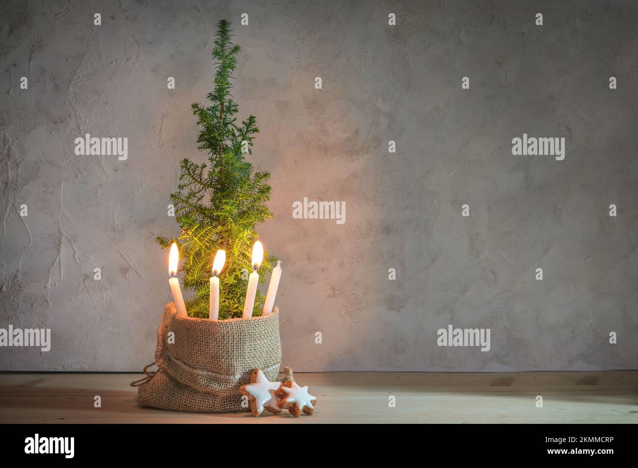 Alternative Advent wreath, three candles lit with a flame on a small conifer plant as Christmas tree symbol, large copy space Stock Photo