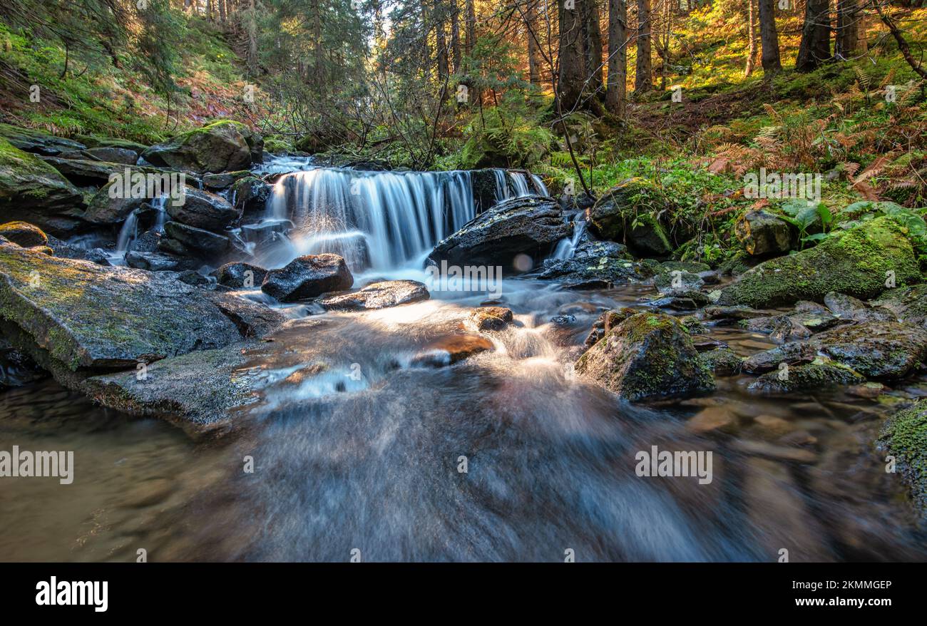 Free Images : rock, water, vacation, countryside, hill, forrest, plant,  green, natural landscape, fluvial landforms of streams, tree, watercourse,  riparian zone, groundcover, sky, mountain river, arroyo, bedrock, jungle,  creek, valley, temperate broadleaf