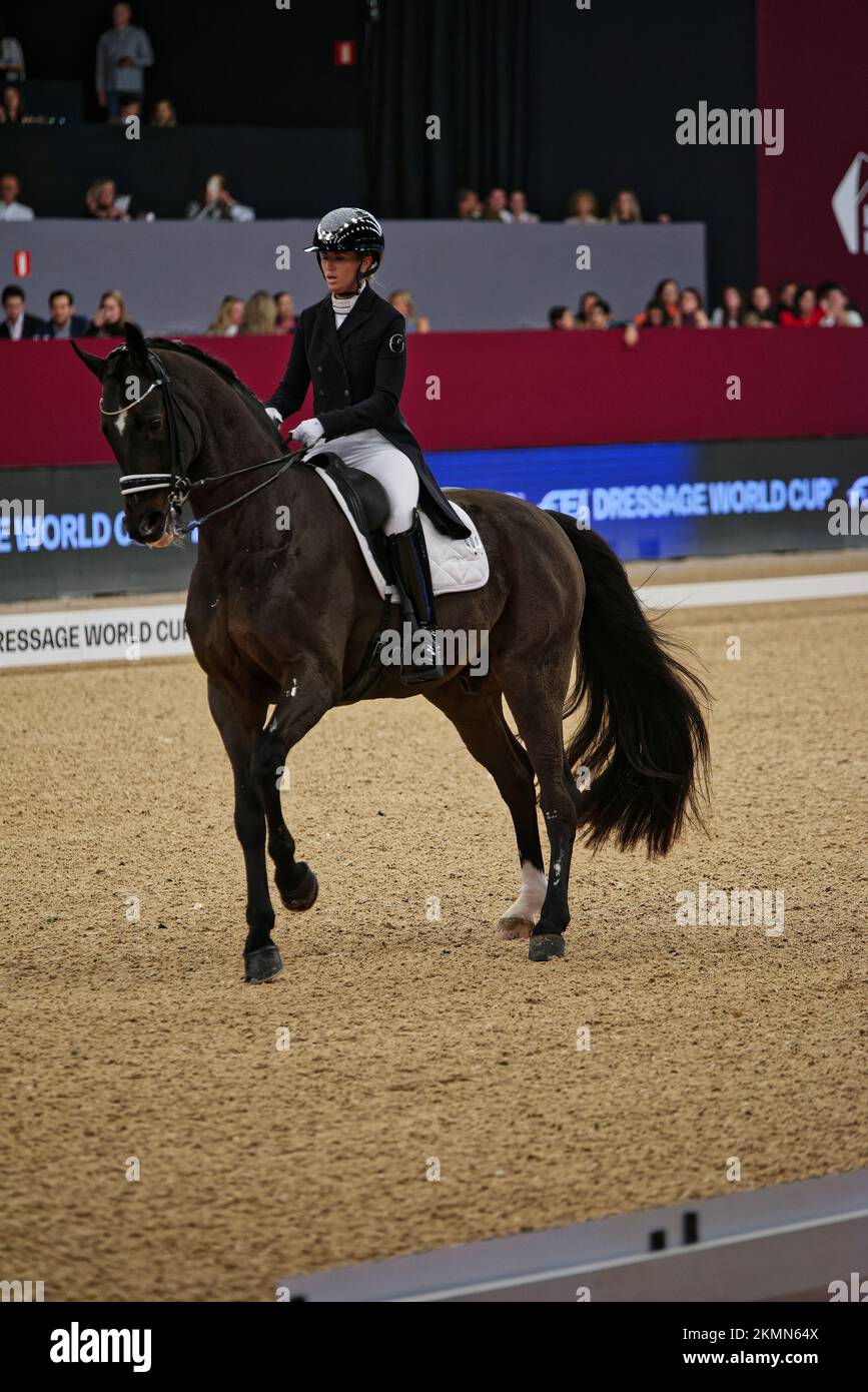 IFEMA, Madrid, Spain. 26th Nov, 2022. Madrid Horse Week 2022, FEI Dressage World Cup, Eulen Grand Prix Freestyle. Morgan Barbançon in the picture. Madrid, Spain. Credit: EnriquePSans/Alamy Live News Stock Photo