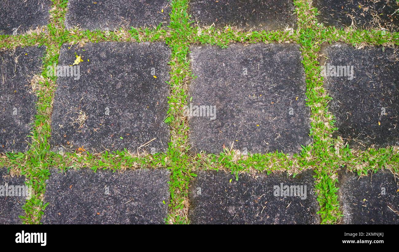 concrete block road with green grass in between. as background Stock ...