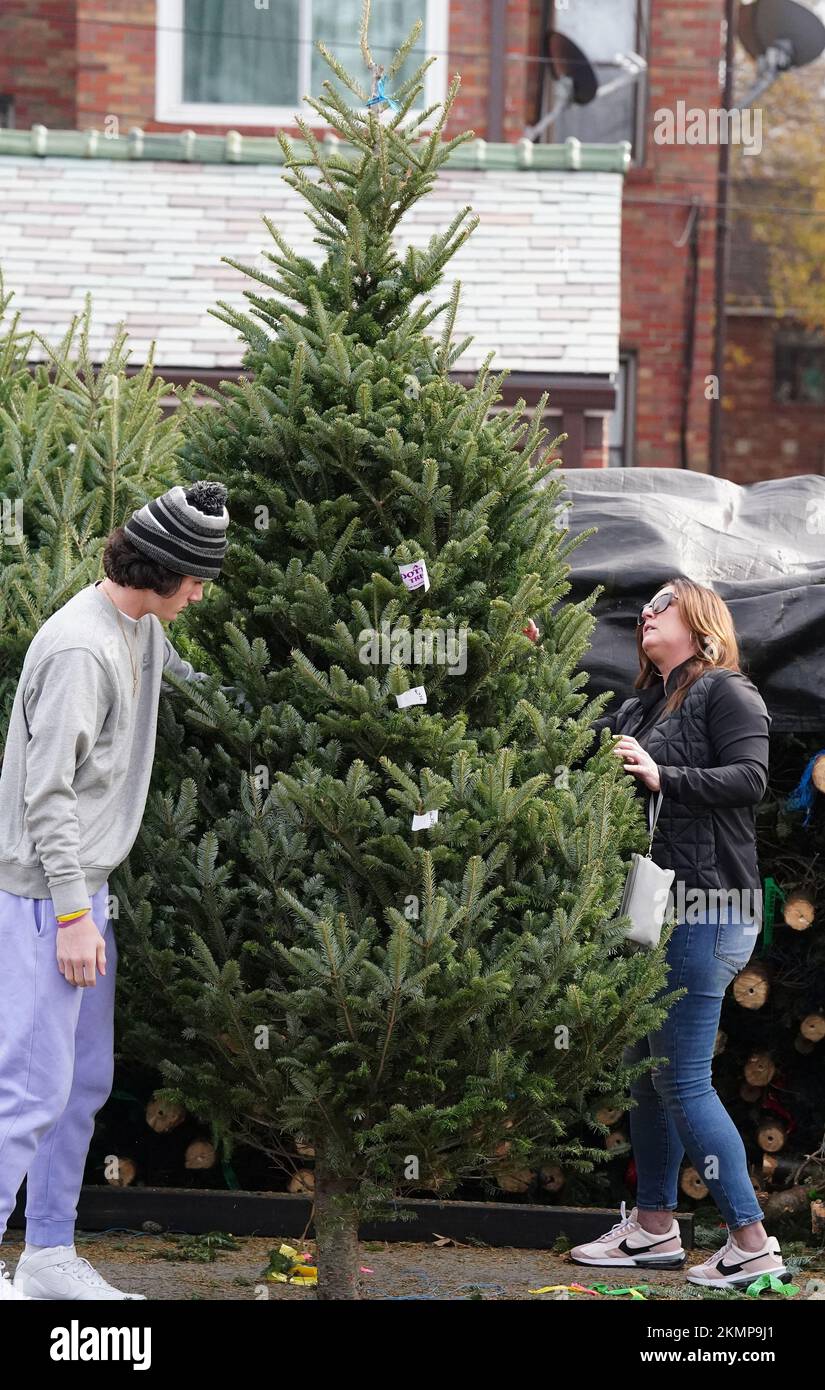Family looks hires stock photography and images Alamy