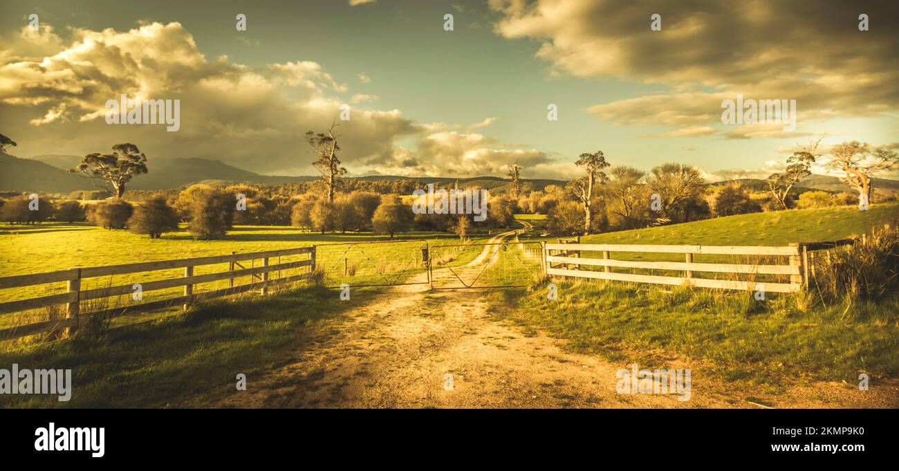 Typical outback country paddock with gated farming fence in serene late