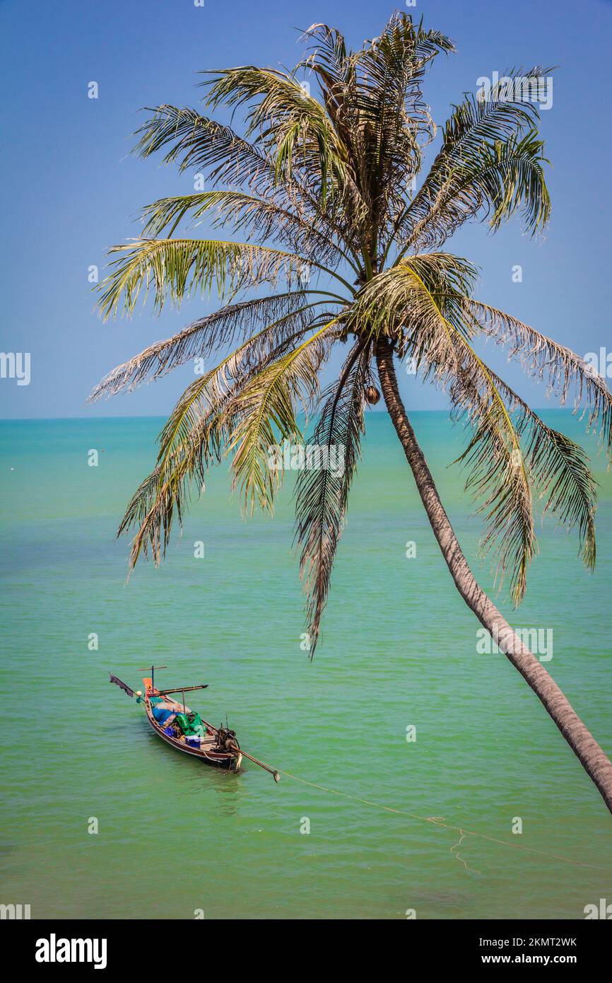 Cocnut palm and long tail boat, Sichon, Nakhon Si Thammarat, Thailand Stock Photo