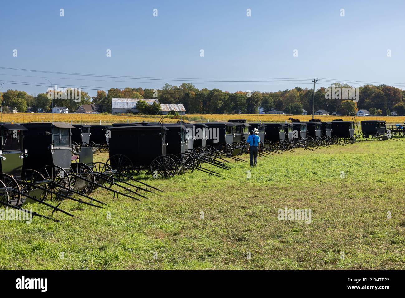 Buggies lined up in a grassy field at an auction in Casson Corner, Kent County, Delaware Stock Photo