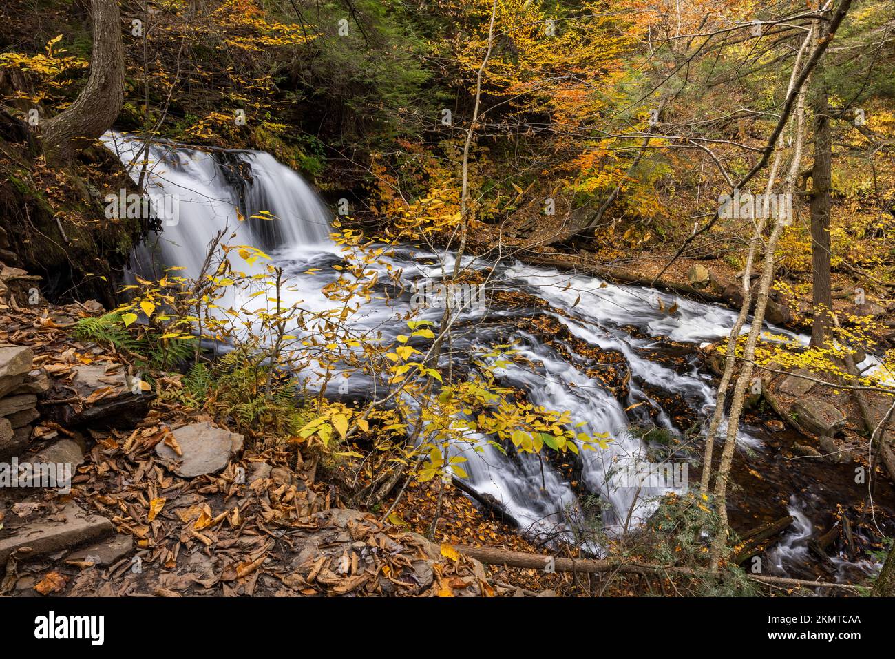 Mohawk Falls in autumn, Ricketts Glen State Park, Pennsylvania Stock Photo