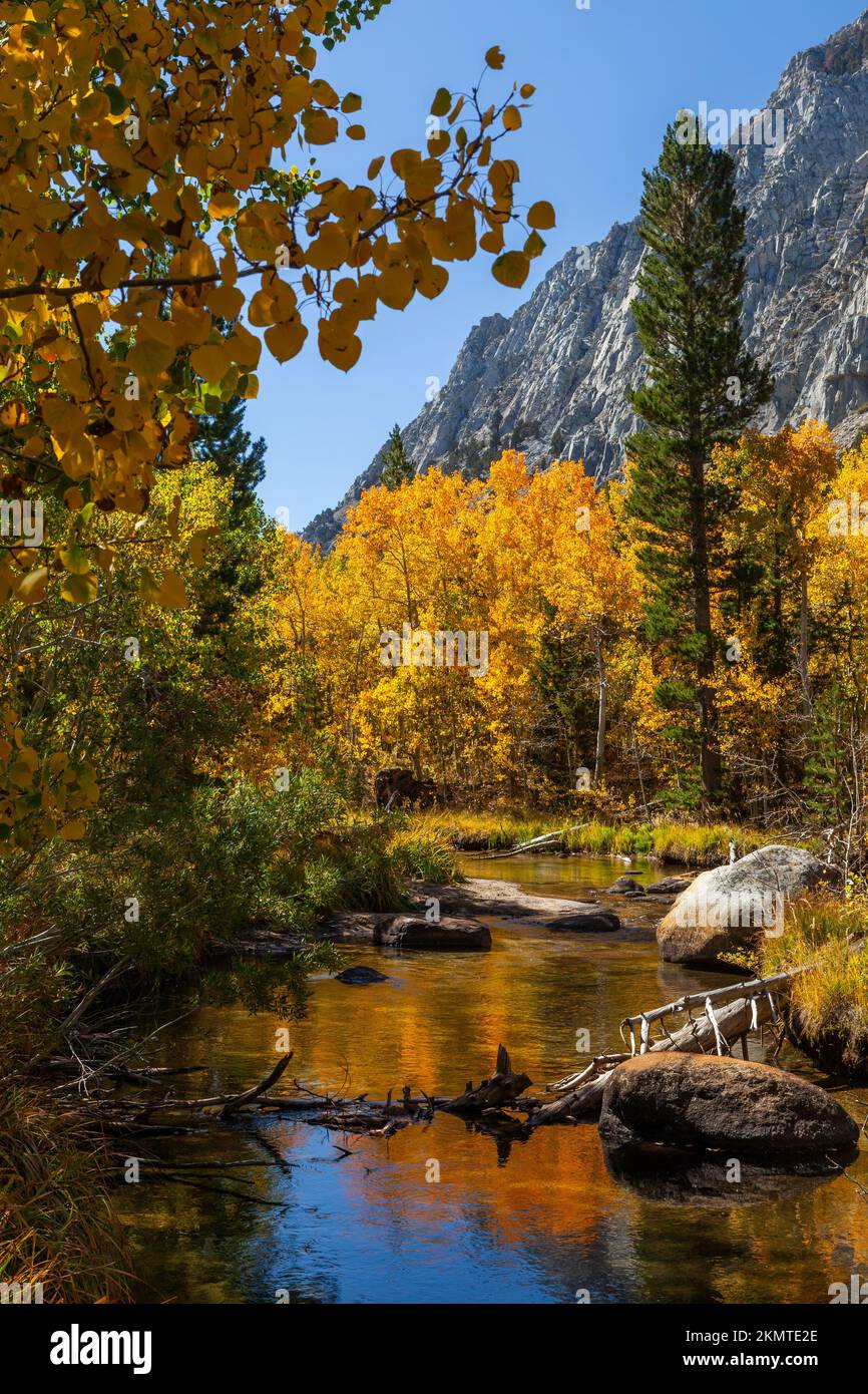 Rock Creek in autumn, Sierra Nevada Mountains, Mono County, California Stock Photo